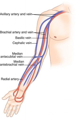 Corso teorico-pratico: prelievi ematici e venipuntura 