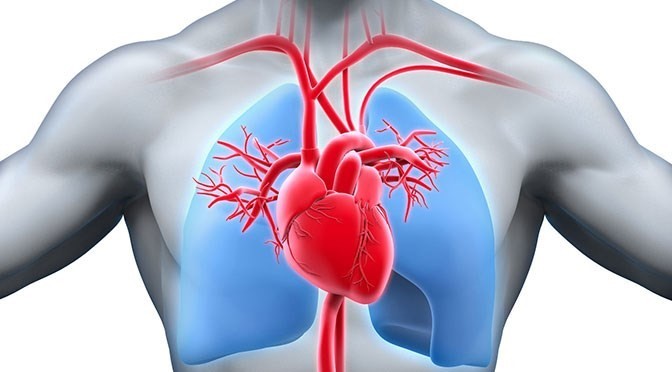METODICHE RIABILITATIVE CARDIORESPIRATORIE
